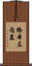 橋本左内墓 Scroll