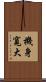 機身寬大 Scroll