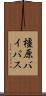 橿原バイパス Scroll