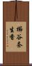 櫛谷奈生香 Scroll