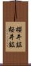 櫻井鉱 Scroll
