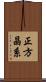 正方晶系 Scroll