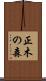 正木の森 Scroll