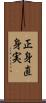 正身 Scroll