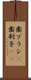 歯ブラシ(P) Scroll