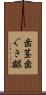 歯茎 Scroll