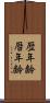 歴年齢 Scroll