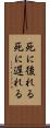 死に後れる Scroll