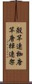 殻竿 Scroll