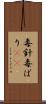 毒針 Scroll