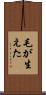 毛が生えた Scroll