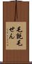 毛氈 Scroll