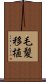 毛髪移植 Scroll