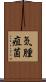 気腫疽菌 Scroll
