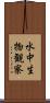 水中生物観察 Scroll