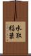水取稲葉 Scroll