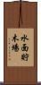 水面貯木場 Scroll