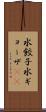 水餃子 Scroll