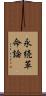 永続革命論 Scroll