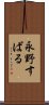 永野すばる Scroll