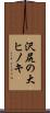 沢尻の大ヒノキ Scroll