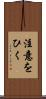 注意をひく Scroll