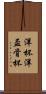 洋杯 Scroll