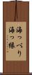 海っぺり Scroll