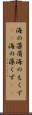 海の藻屑 Scroll