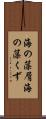 海の藻屑 Scroll
