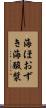 海ほおずき Scroll