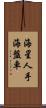 海星 Scroll