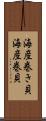 海産巻き貝 Scroll