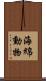 海綿動物 Scroll