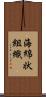 海綿状組織 Scroll