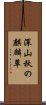 深山秋の麒麟草 Scroll