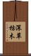 深草枯木 Scroll