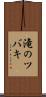 滝のツバキ Scroll