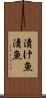 漬け魚 Scroll