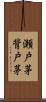 瀬戸茅 Scroll