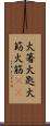火箸 Scroll