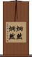 炯然 Scroll