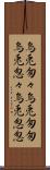 烏兎匆々 Scroll
