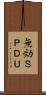無効ＳＰＤＵ Scroll