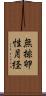無排卵性月経 Scroll