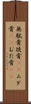 無駄骨 Scroll