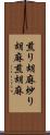 煎り胡麻 Scroll