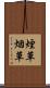 煙草 Scroll