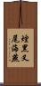 煙黑叉尾海燕 Scroll