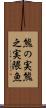 熊の実 Scroll